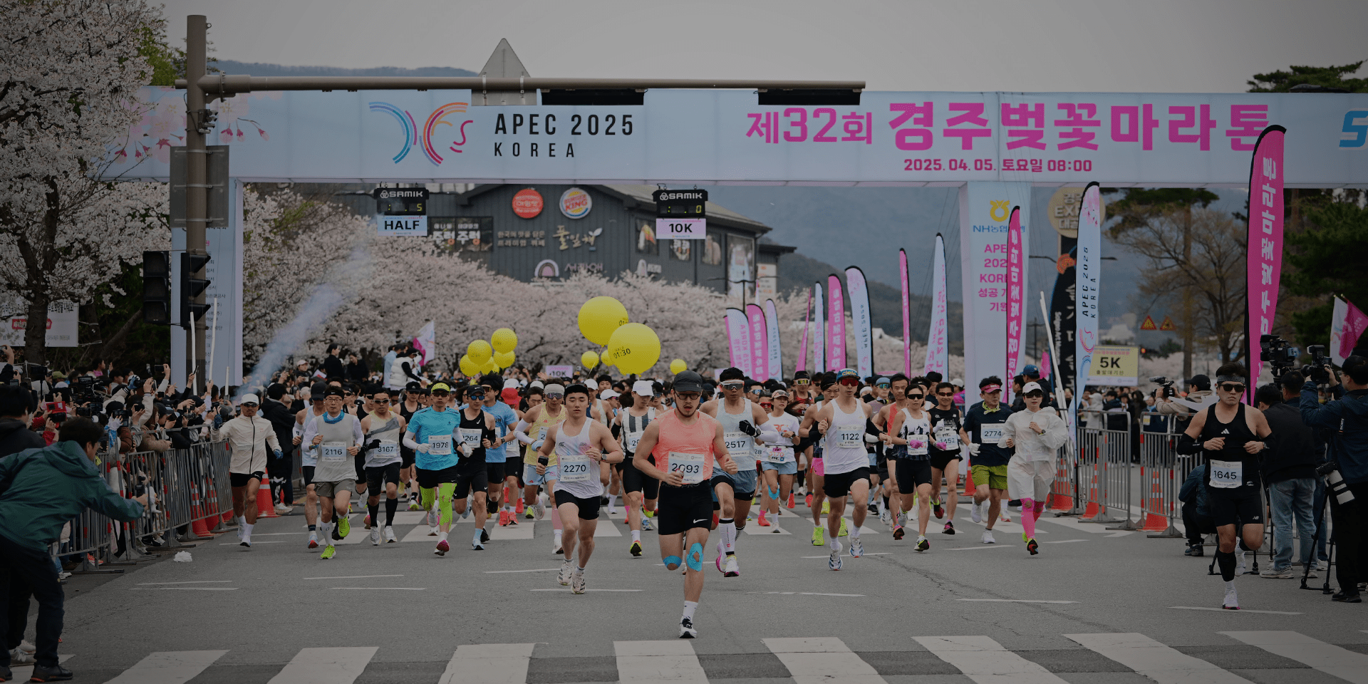 제33회 경주벚꽃마라톤