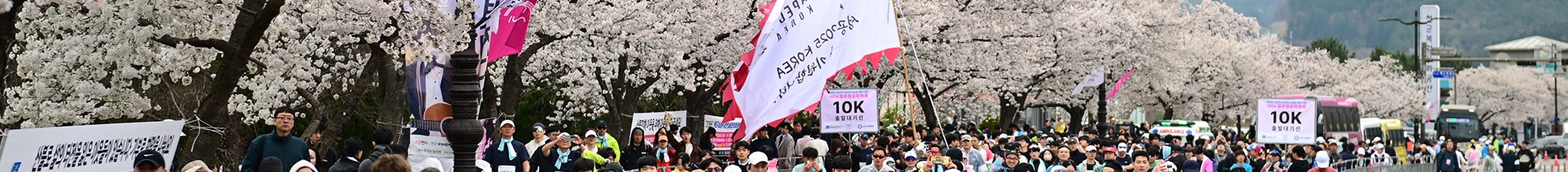 제33회 경주벚꽃마라톤 코스 안내 4